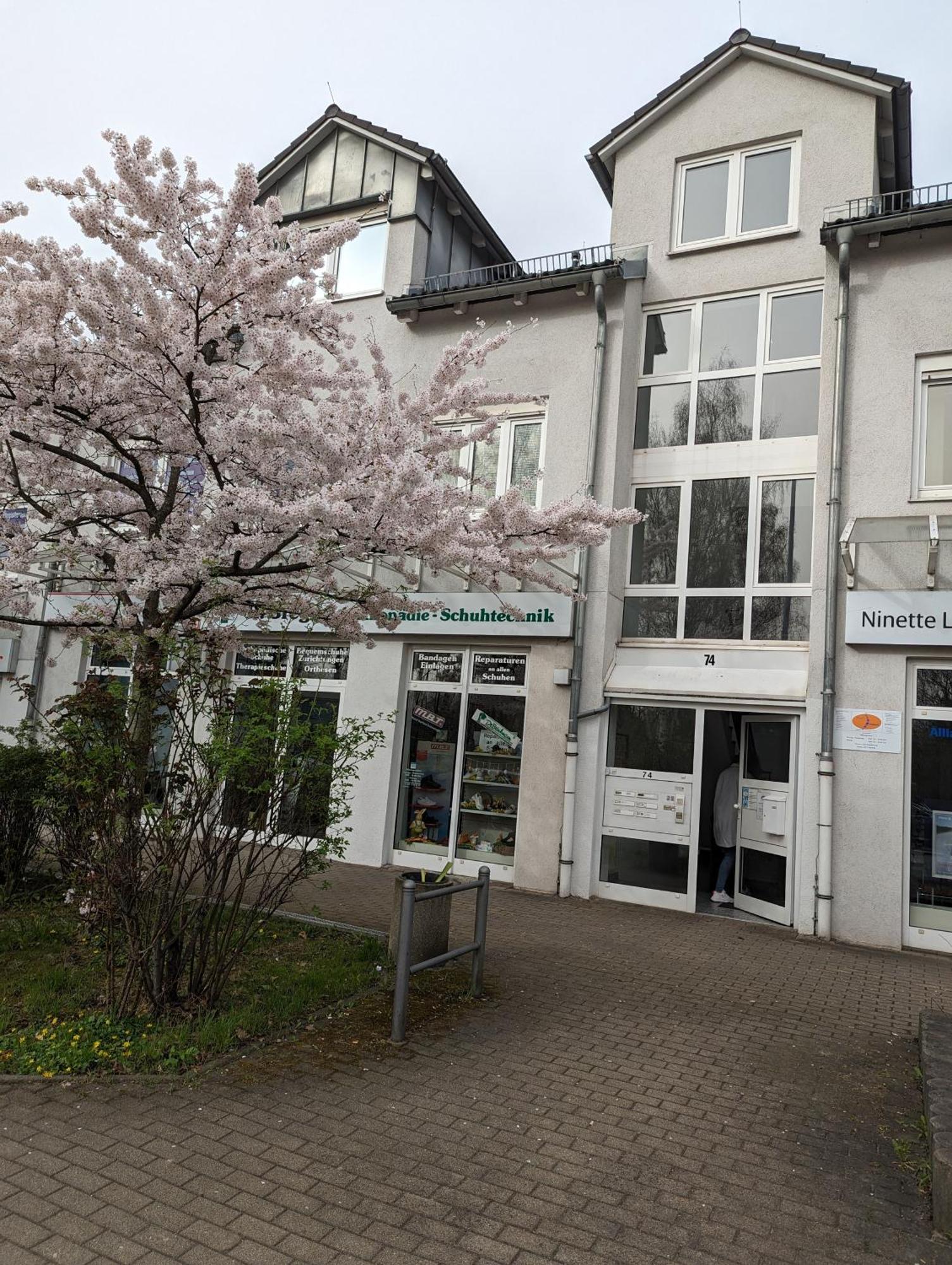 Ferienwohnung Am Stadtpark Chemnitz Exterior photo